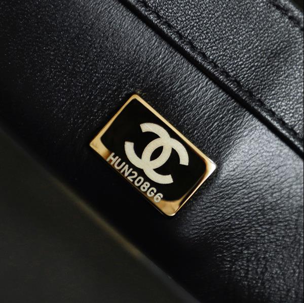 2026131214247438 850